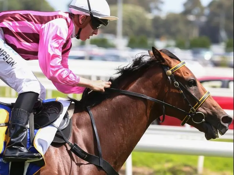 Shoreham winning at Caulfield.