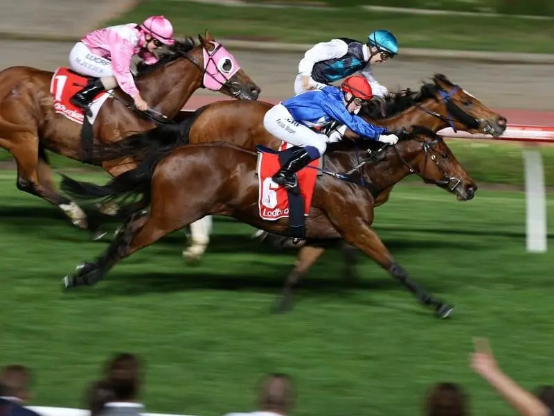 Invincible Al (outside) wins at Moonee Valley.