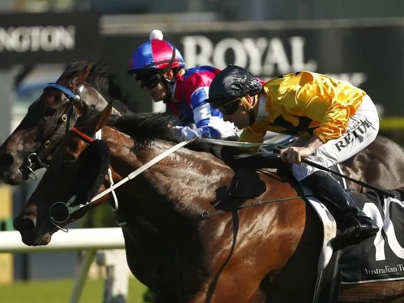 Zestful wins at Randwick.