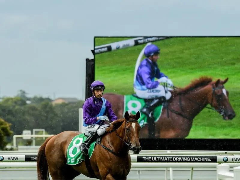 Warwick Farm winner Lisdoonvarna.