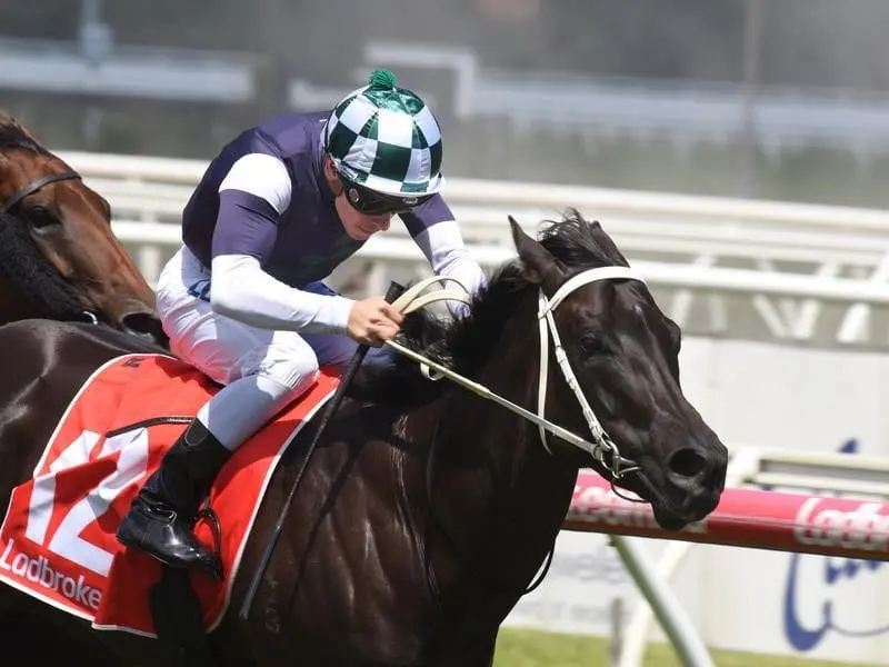 Jockey Ben Melham rides Eurack to victory in the Ladbrokes Handicap