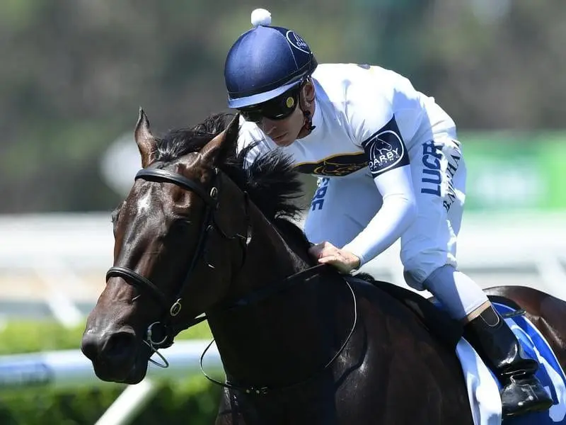 She Will Reign wins at Warwick Farm.