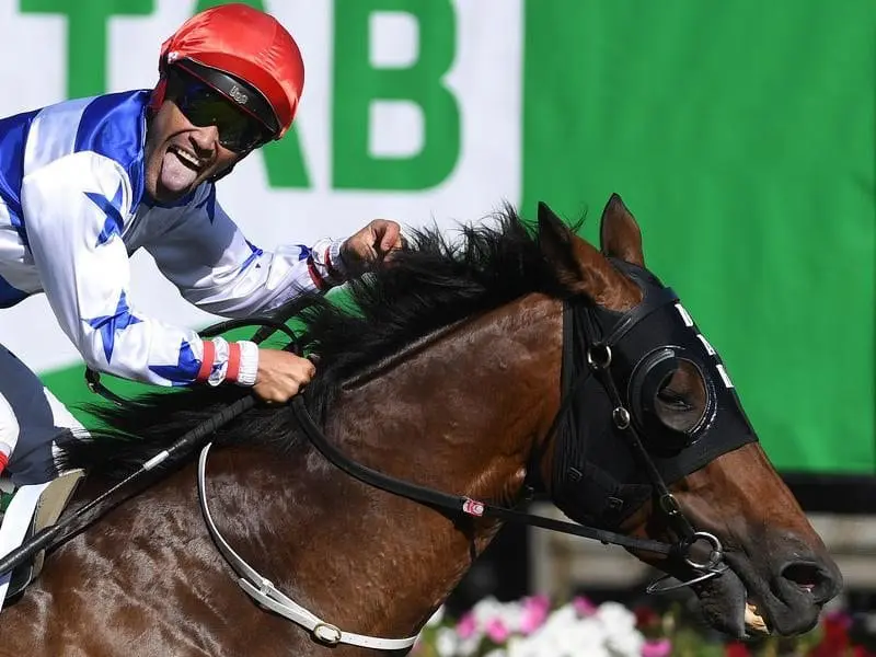 Harlem has edged out his more-fancied rivals to win the $1.5 million Australian Cup at Flemington. Michael Walker reacts after Harlem won the TAB Australian Cup