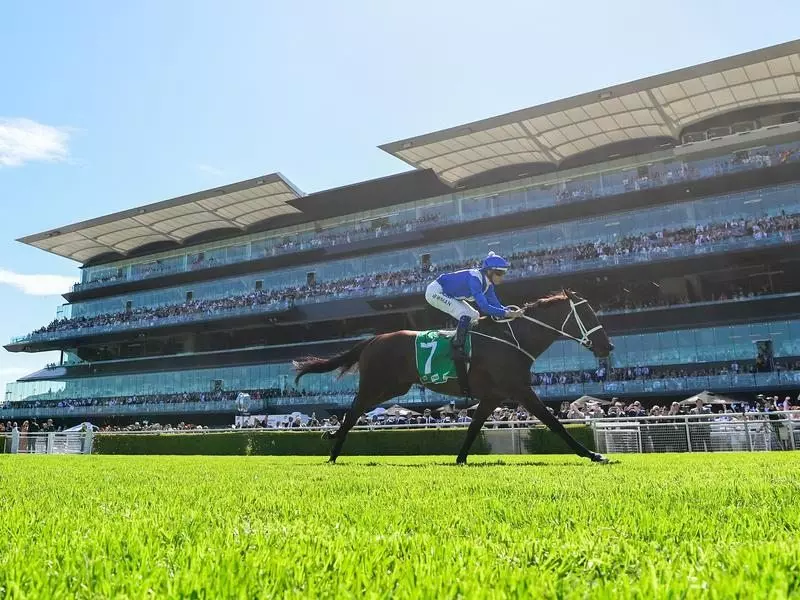 Winx winning the Chipping Norton Stakes.