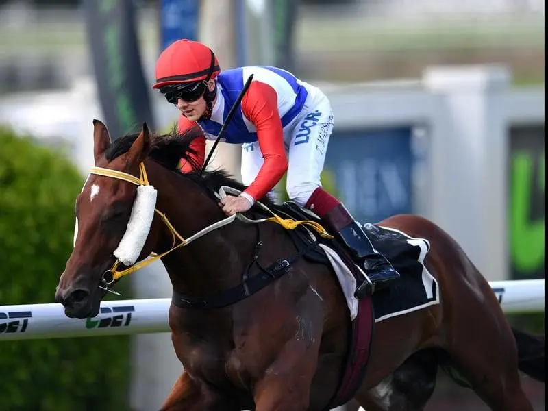 Mishani Hustler is set for some stakes races during the winter carnival after winning at Doomben. Taylor Marshall rides Mishani Hustler to win