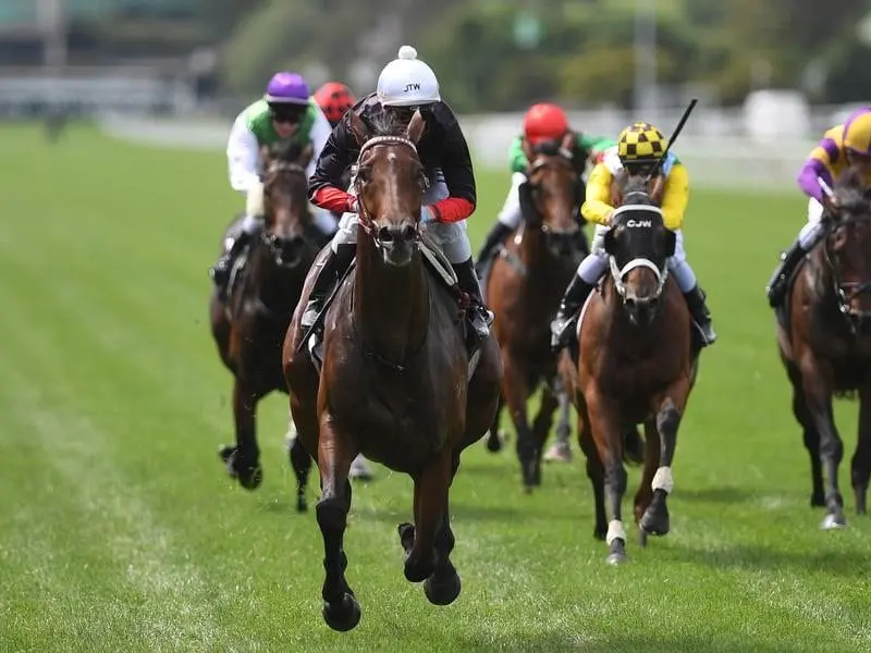 Quilista will target a Group One race in Adelaide after winning at Flemington. Mark Zahra rides Quilista (second from left) to victory