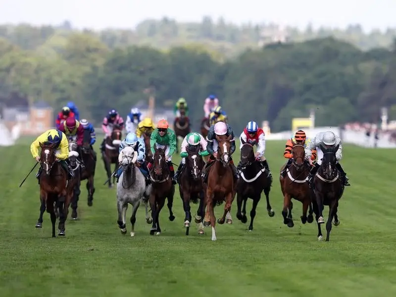 Clondaw Warrior