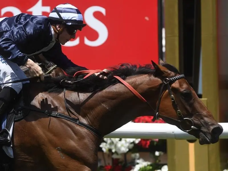 Trainer Mick Kent wants some give in the track for Oncidium Ruler in the Mornington Cup. oncidium ruler
