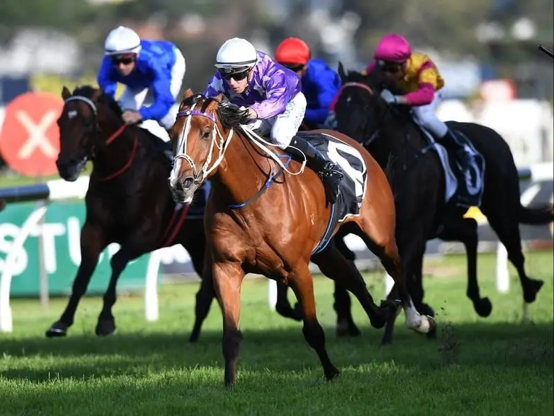 Cellarman ridden by Brenton Avdulla