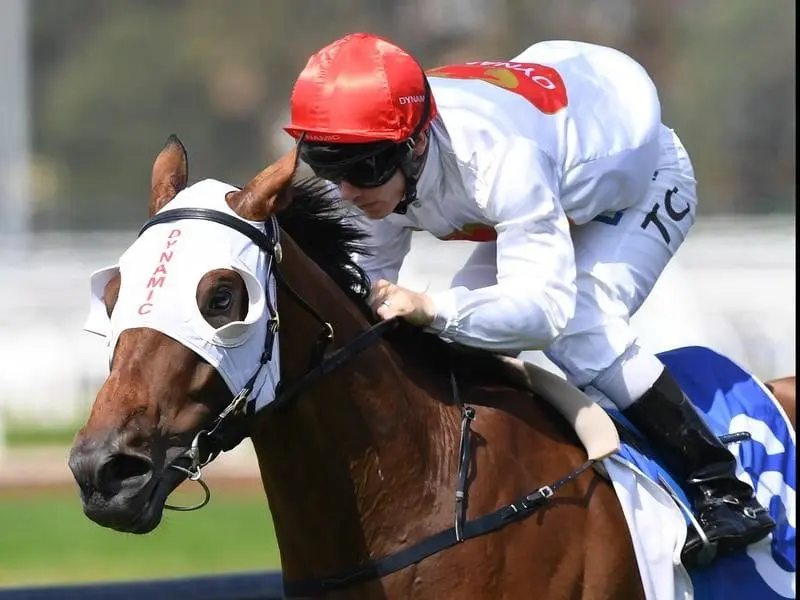 Arbeitsam ridden by Tim Clark