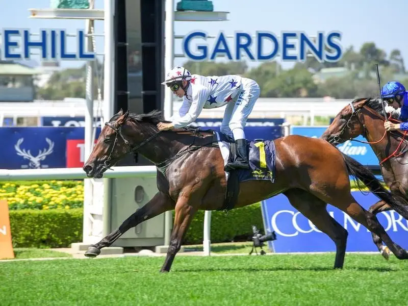 Sunlight has confirmed her Golden Slipper favouritism after winning a lead-up race at Rosehill. Sunlight wins at Rosehill.