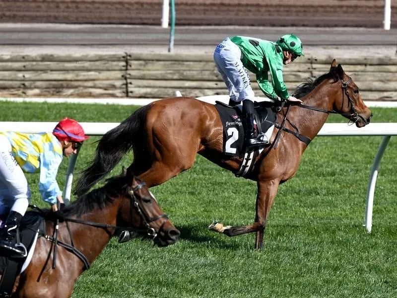 Black Caviar's first foal Oscietra (r) will race at Sandown to try claim her first metropolitan win. sandown