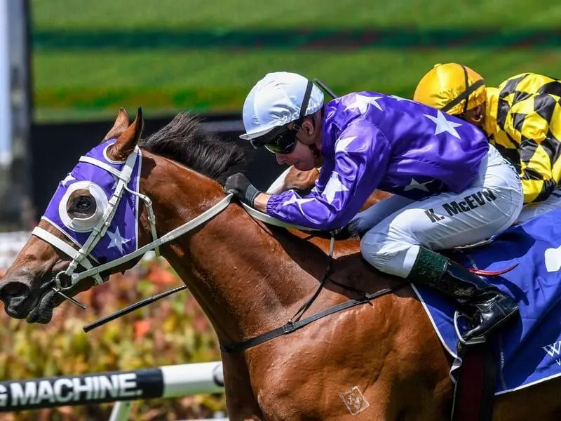 Jockey Kerrin McEvoy says a wet track will boost the Golden Slipper prospects of his mount Fiesta. Fiesta wins the Widden Stakes.