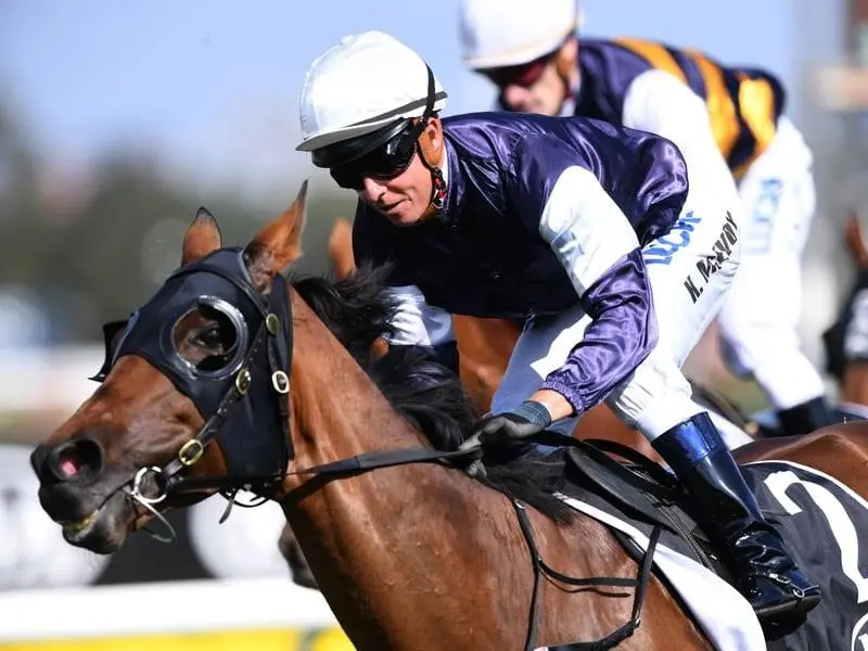 Almandin ridden by Kerrin McEvoy