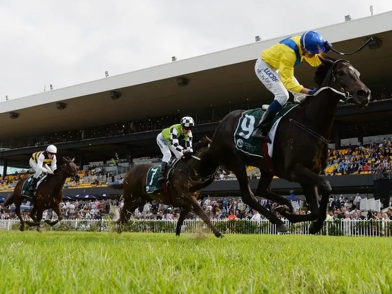 Hiyaam ridden by Michael Dee