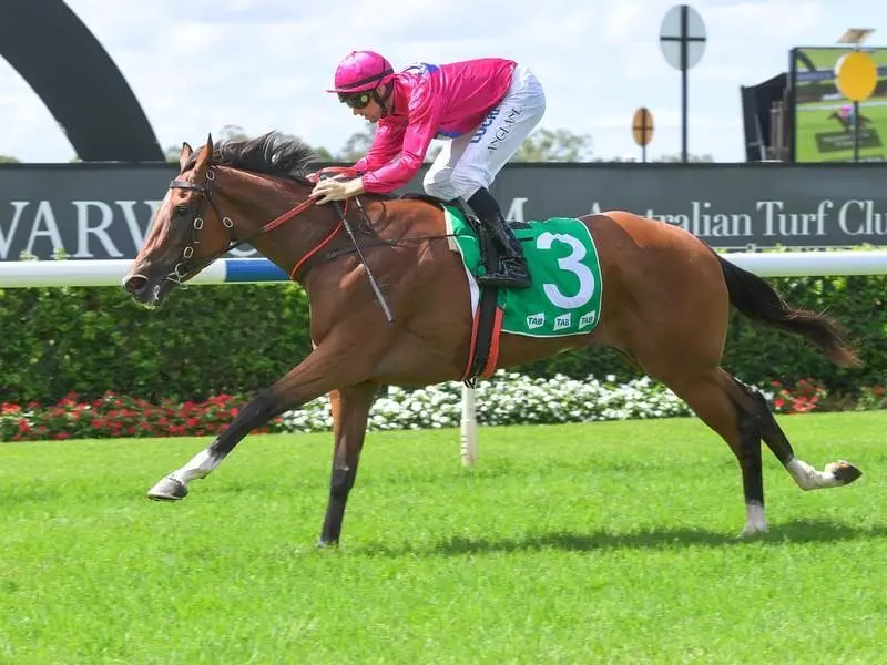 Mandylion wins at Warwick Farm.