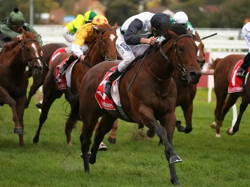 Ocean Knight wins at Caulfield.