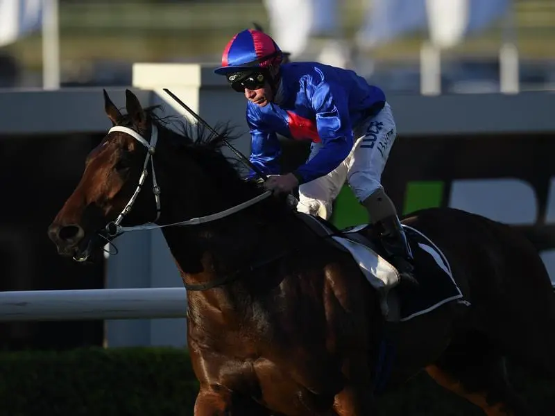 Jockey Jim Byrne will be reunited with Brisbane Cup winner Chocante when he resumes at Doomben. chocante