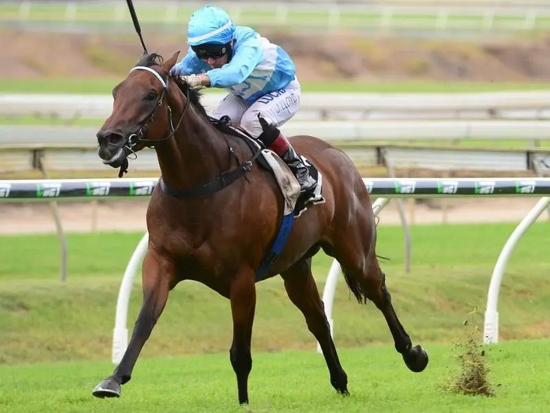 Jockey Jeff Lloyd rides Whypeeo to win