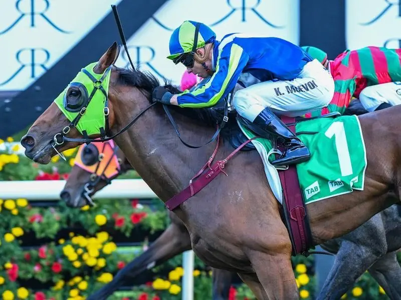 Luvaluva has come through her narrow Adrian Knox win in good order and is primed for the ATC Oaks. luvaluva