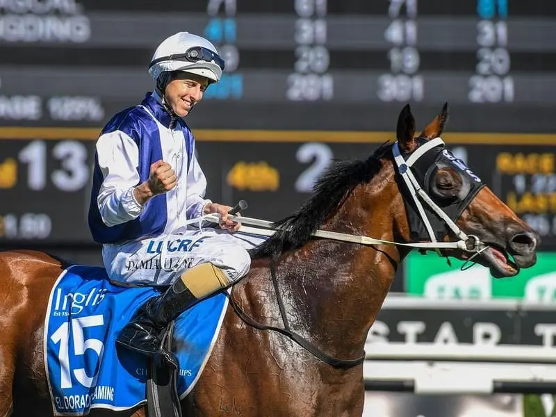 Jockey Damian Lane returns to scale.