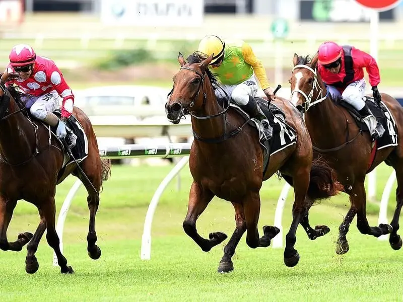 Jockey Jim Byrne rides Shamurt (c) to victory in race two at Toowoomba