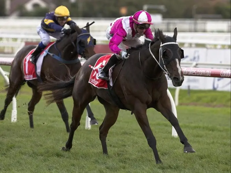 The expectation of a rain-affected Caulfield meeting will be a boost for King River's chances. King River winning at Caulfield.