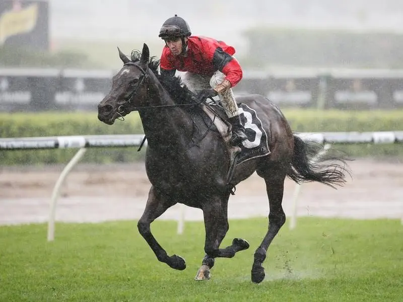 La Bella Diosa begins a new phase of her career for Lindsay Park after being transferred from NZ. la bella diosa