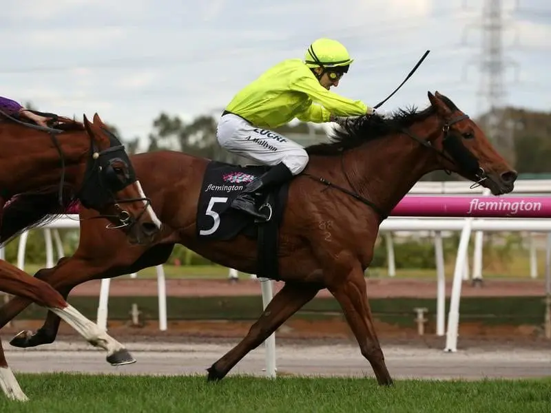 Sin To Win has shown his staying prowess in taking out the Listed Andrew Ramsden Stakes over 3200m. Sin To Win hangs on in the Andrew Ramsden Stakes.