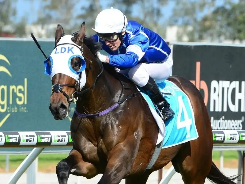 Captivator, one of three Gold Coast winners for Jeff Lloyd, is a likely Queensland Derby starter. Captivator wins at the Gold Coast