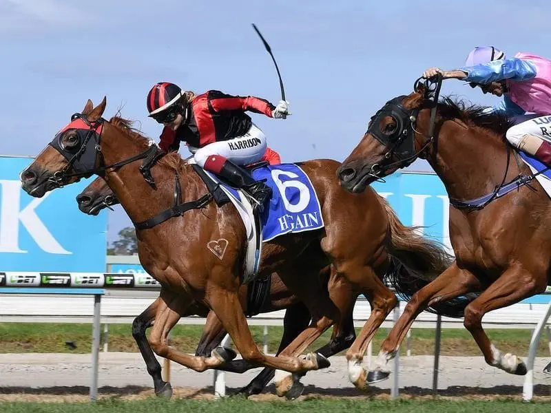 Dreams Aplenty wins the Gold Coast Cup.