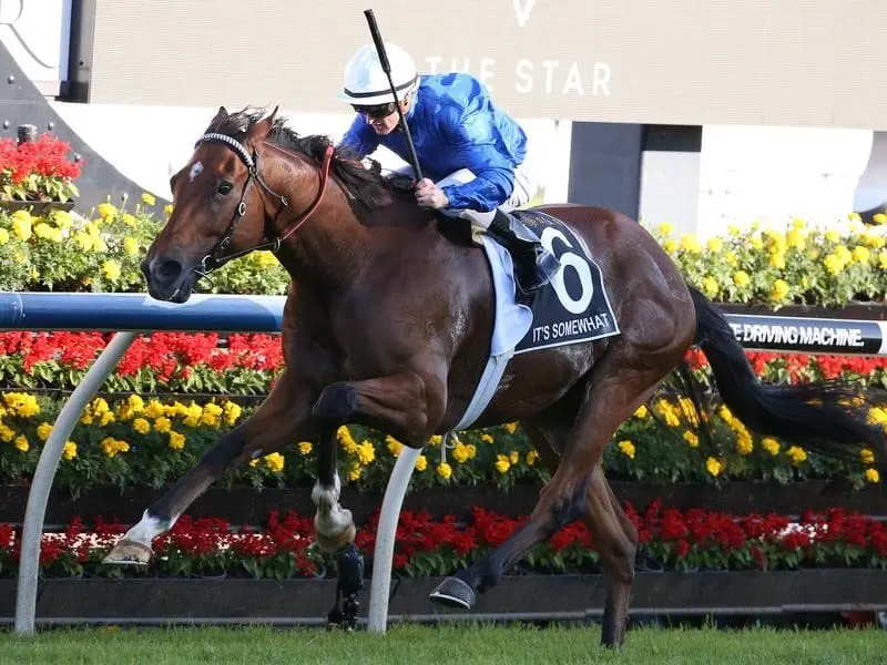 It's Somewhat heads a strong team for Godolphin at the Hollindale Stakes meeting at the Gold Coast. it's somewhat