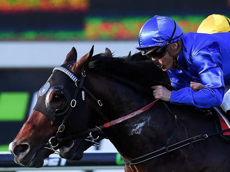 Impending has turned in an impressive piece of work ahead of the Group One Kingsford-Smith Cup. Impending