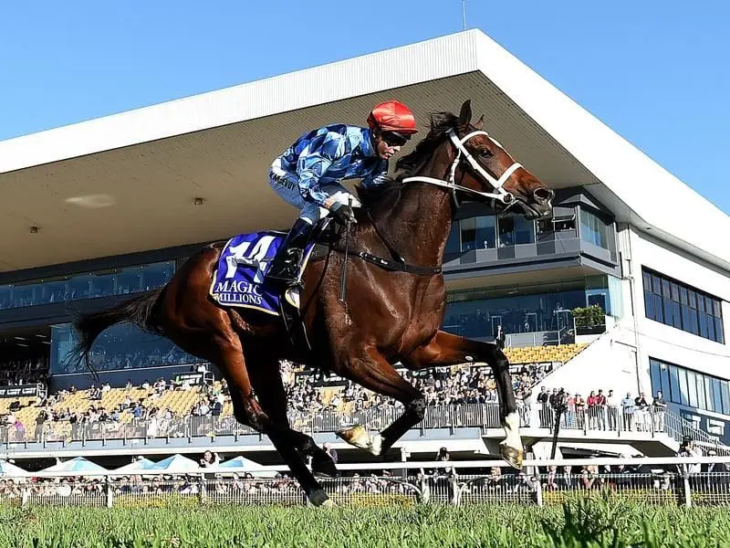 Blinkers will be kept off Youngstar when the filly contests the Group One Queensland Oaks. Youngstar wins at Doomben.