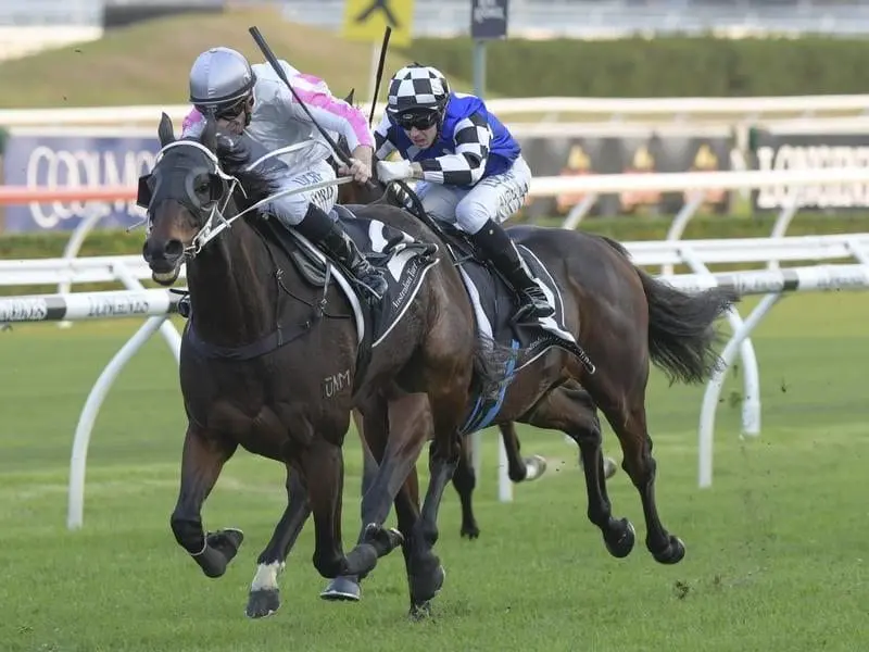 Destiny's Kiss wins the McKell Cup.