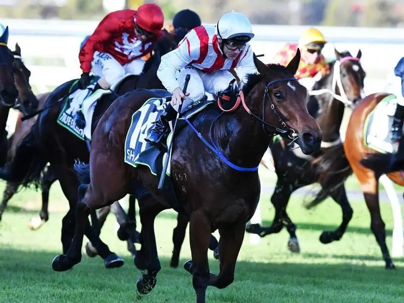 Jockey Tim Clark rides Shoals.