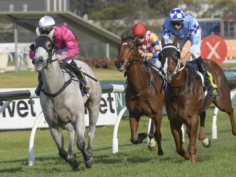 Albumin (l) has scored a long-awaited win at Rosehill wearing a set of blinkers. albumin