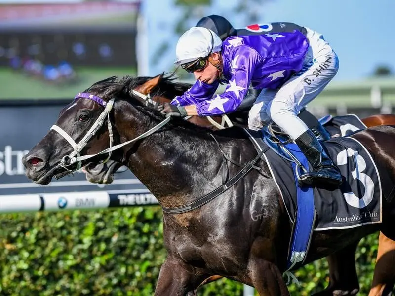 Noire will resume at Rosehill and if she performs well the mare will head to the Brisbane carnival. noire