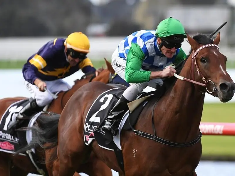Irish-bred Fifty Stars has graduated to metropolitan grade with an impressive win at Sandown. Fifty Stars wins at Sandown