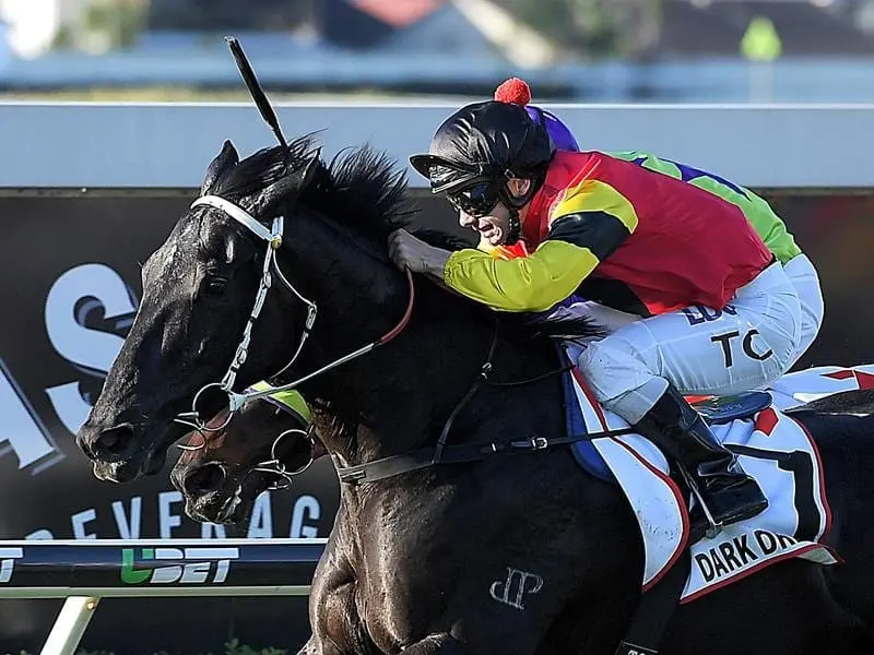 Jockey Tim Clark rides Dark Dream.