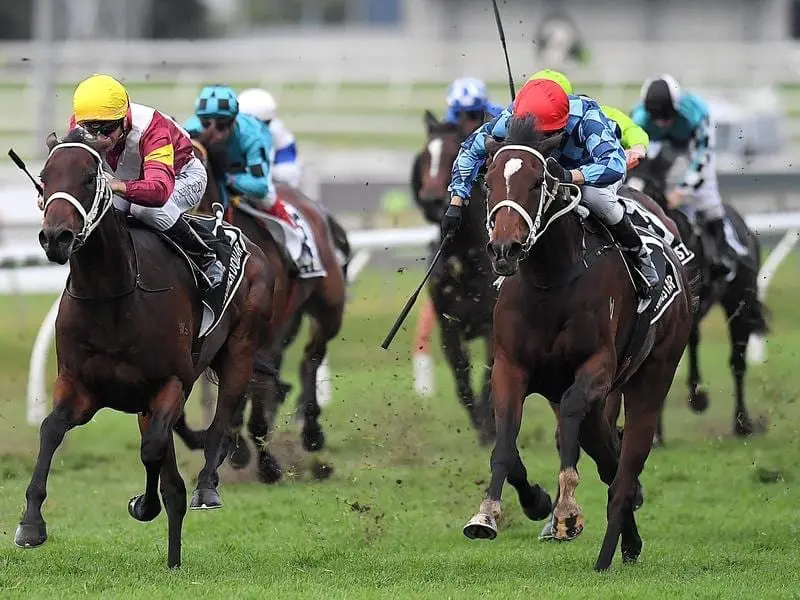 Queensland Oaks winner Youngstar (right) will head to the Queensland Derby. youngstar