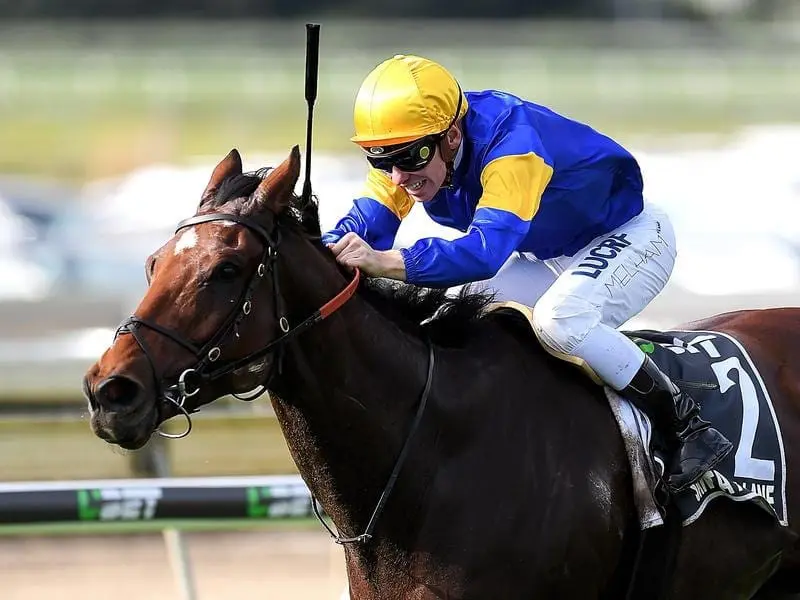 Jockey Ben Melham believes Stradbroke winner Santa Ana Lane deserves a spot in The Everest. santa ana lane