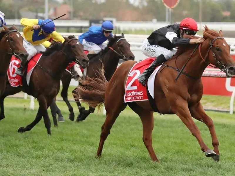 Blue Diamond Stakes winner Written By will be aimed at the Coolmore Stud Stakes. written by