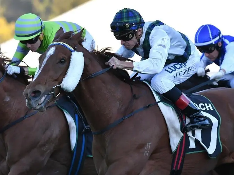 Jockey Michael Cahill rides Magic Alibi.