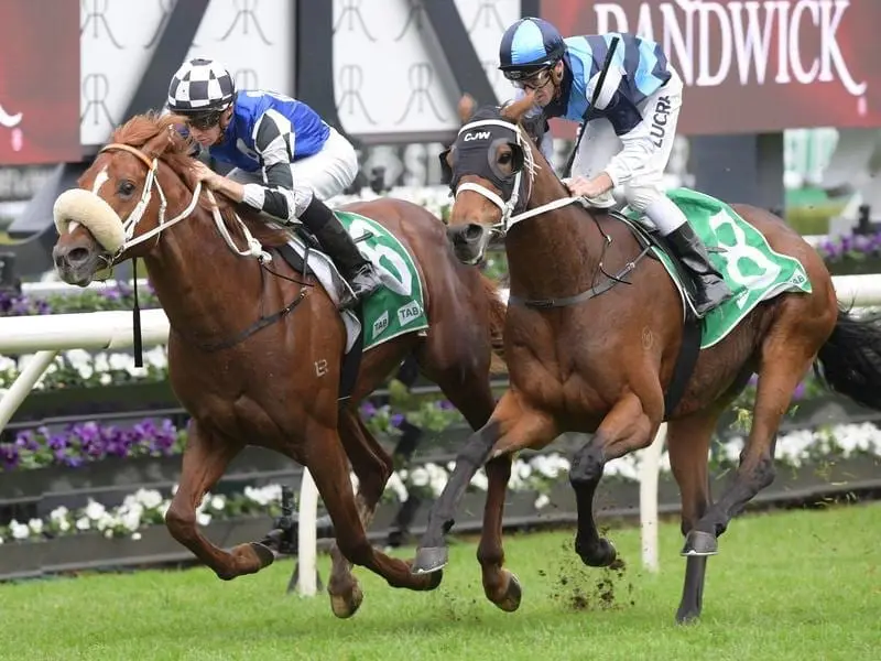 Jockey Jason Collett rides Hallelujah Boy to win race 4 at Randwick