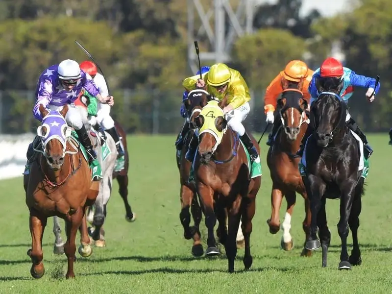 Tye Angland riding Chatelard to win race 5 at Rosehill