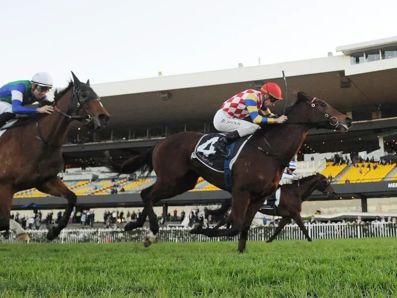 Jockey Blake Shinn rides Manolo Blahniq to win race 9.