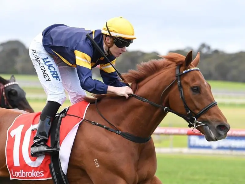 Patrick Moloney rides Hang Man to victory in race 4 at Sandown