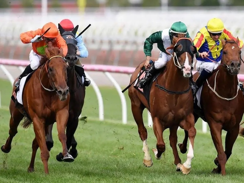 Stud-bound Spieth (green/white) will be trying to go out a Group One winner of the Stradbroke Hcp. Spieth