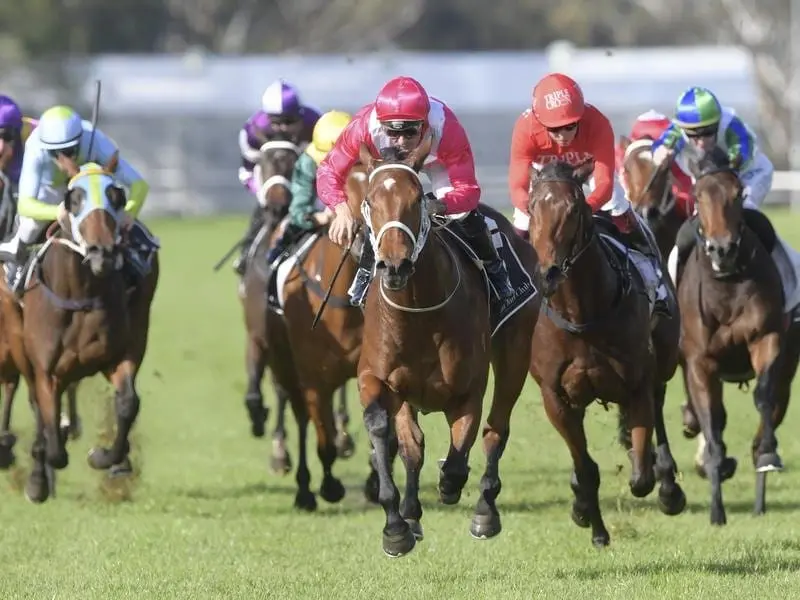 Jockey Corey Brown rides Bubbles'n'Troubles to win race 2